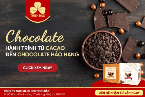 [BẠN ĐÃ BIẾT] QUY TRÌNH CHẾ BIẾN CHOCOLATE HẢO HẠNG TỪ HẠT CACAO